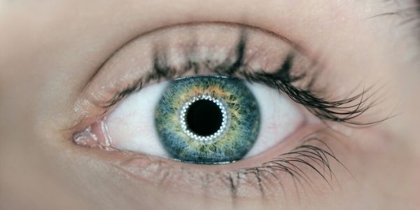 human eye with digital information